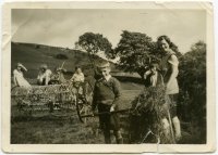 Coll. Enid Graham,  Alston. Copied with permission April 2012. 
The English family & others putting up hay pikes near Blagill ca 1933. Enid was born at Blagill, where her father farmed, in 1935.
L>R Nancy English (ca 11yrs), ?,? Arnold English, (ca 4yrs).
Foreground 2 unidentified boys and Enid's Mam, Florence English>Lamb.