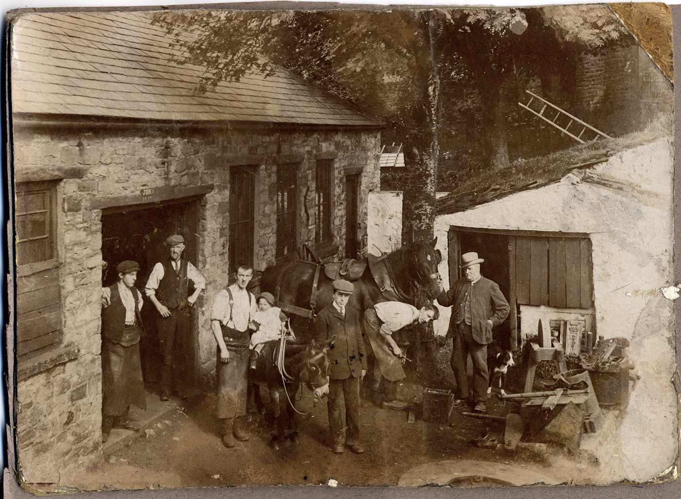 Forge Cottage- Townhead, Alston 1910/20?’s
John Little, [if it’s him, he died on 29 April, 1902- which might help date this image]. Louis  Little (son), John Little (grandson on donkey, wearing clogs- born 1909 so this pic prob 1910/11).The Little, (sometimes Littel) Family (Scottish) ran the Forge at this time- Tom Bell later.
LATEST INFO from Denise Sales née Little:
 It's the father of the John in the photo who is my gg grandfather, this one (2nd left) is John Little b 1855 d 1920 and his son Louis b 1886 d 1925 and his son John b 1909. 
Holding 'Mr. Edward', the donkey, is Mark Douglas (b 1893) who worked for the animal's owner, Miss Blackett-Ord of Brownside, Leadgate.. 
Arthur Henderson shoes the horse.
Holding the cart horse is Mr. Teesdale/Teasdale Lowe of Hill House Farm, (there are two in the parish) probably Hill House, Jollybeard- he was listed as an occasional carrier, to Penrith, in the 1910 Kelly's Directory.
The front tree has been felled and the small building demolished.
Horses were brought in through the far, (narrow), door then brought out of the double door to be shoed. The job of taking a horse to be shoed was relished by some young workers since it could take the bulk of a day.
Out of sight to the left of the picture was the overshot waterwheel which powered a forge hammer.
John Little b1818+bro Christopher both worked as smiths here>Joseph>Louis>Joe Little d2003+Tom Little.