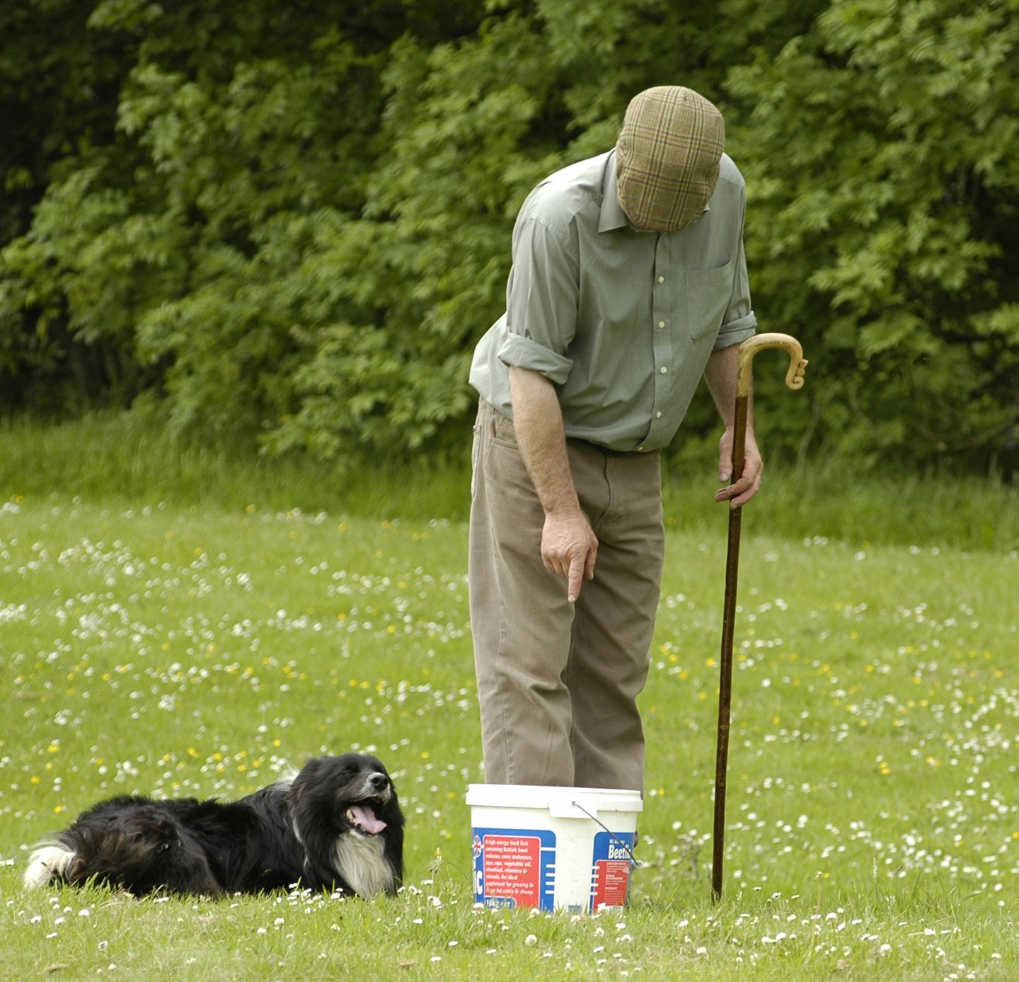  Philip Walton of Wanwood Hill and Cap. Farmer and sheep dog.
