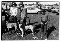 Lads and lurchers- Billy Smith - left
