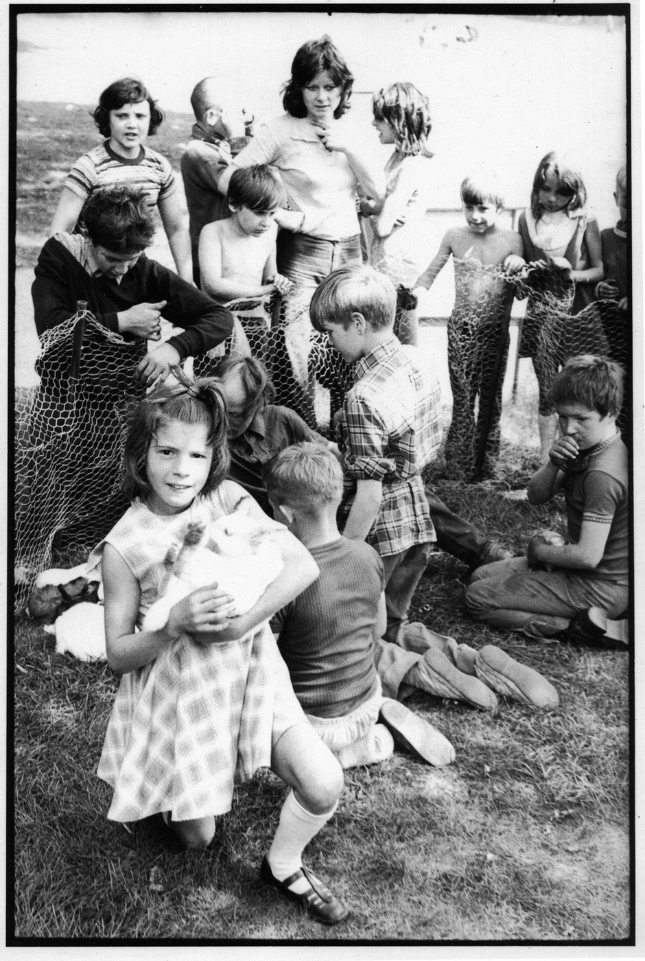 Council Pets Scheme - by the end of the day only half were still in the Park. But the kids returned them all!